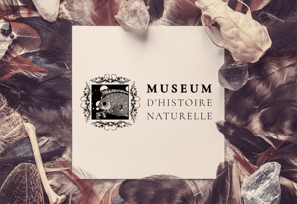 Carte Museum d'Histoire Naturelle