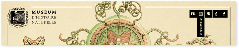 Menu Museum d'Histoire Naturelle
