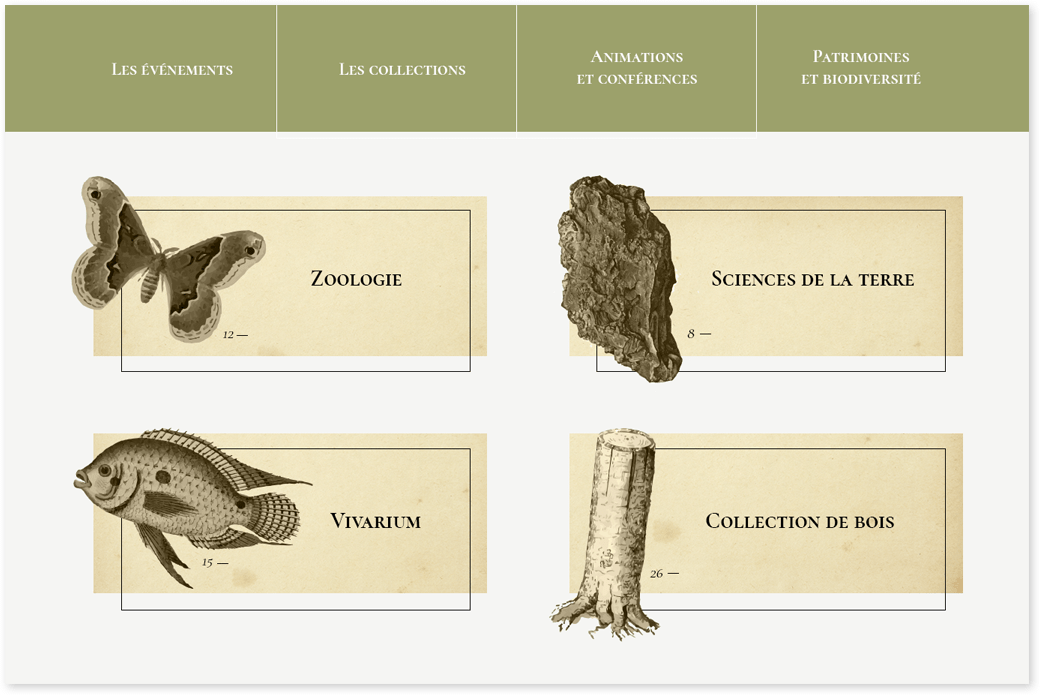 Collection Museum d'Histoire Naturelle
