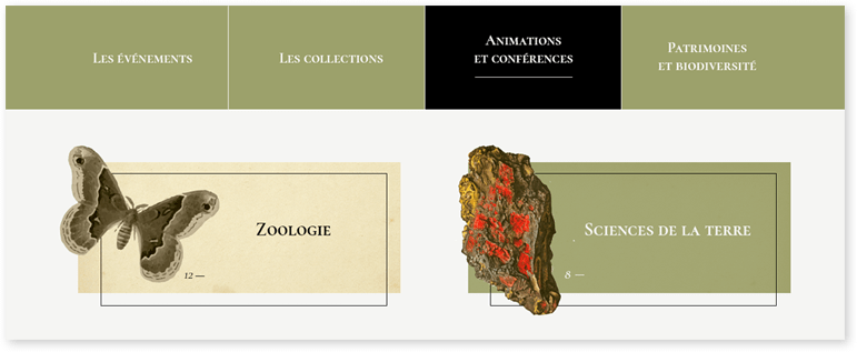 Collection Hover Museum d'Histoire Naturelle