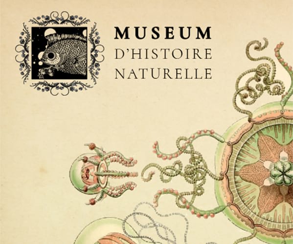 Museum d'Histoire Naturelle Nantes